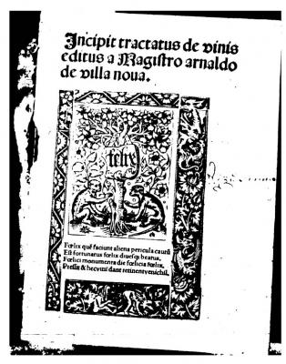 Arnaldo, el sabio tozudo